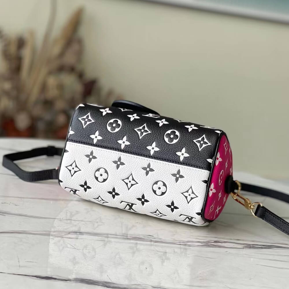 LV Speedy Bandouliere 20 2way Hand Bag