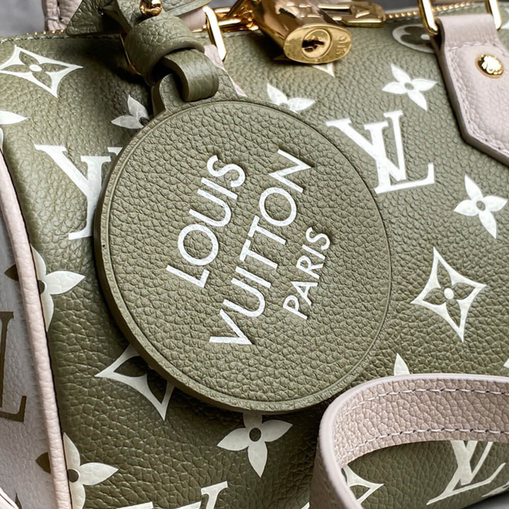 LV Speedy Bandouliere 20 2way Hand Bag