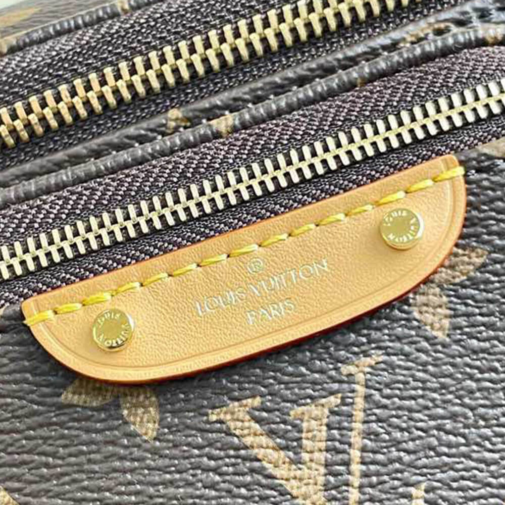 LV Mini Bumbag