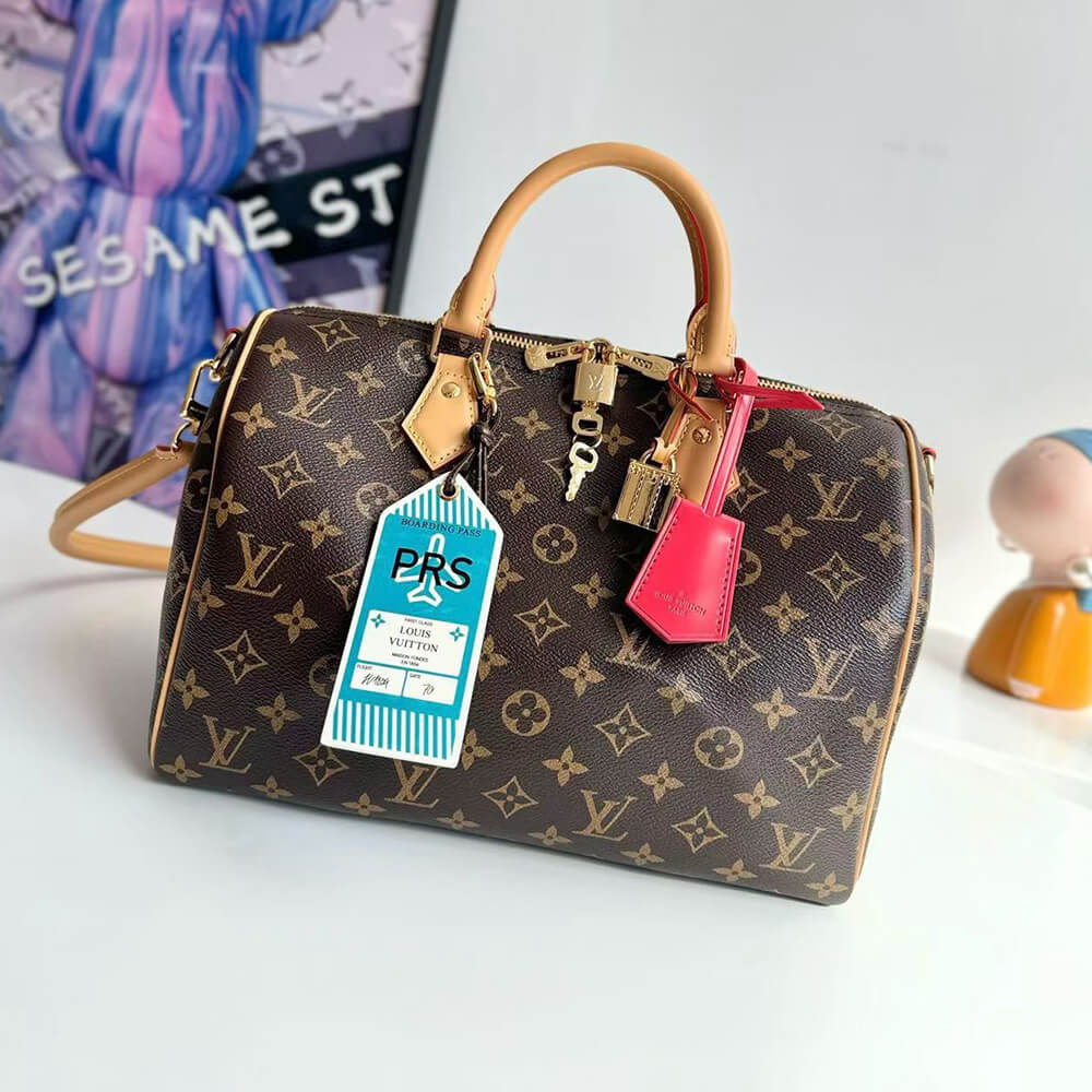 LV Speedy Soft 30 Crafty