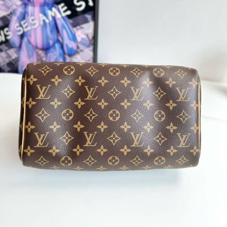 LV Speedy Soft 30 Crafty